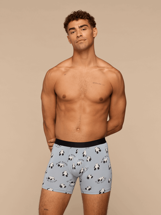 Boxer Brief | Do Not Disturb