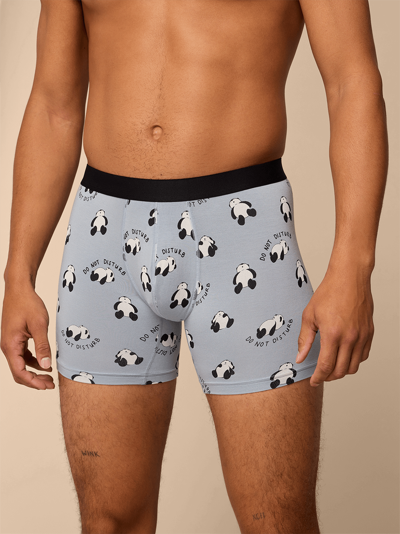 Boxer Brief | Do Not Disturb