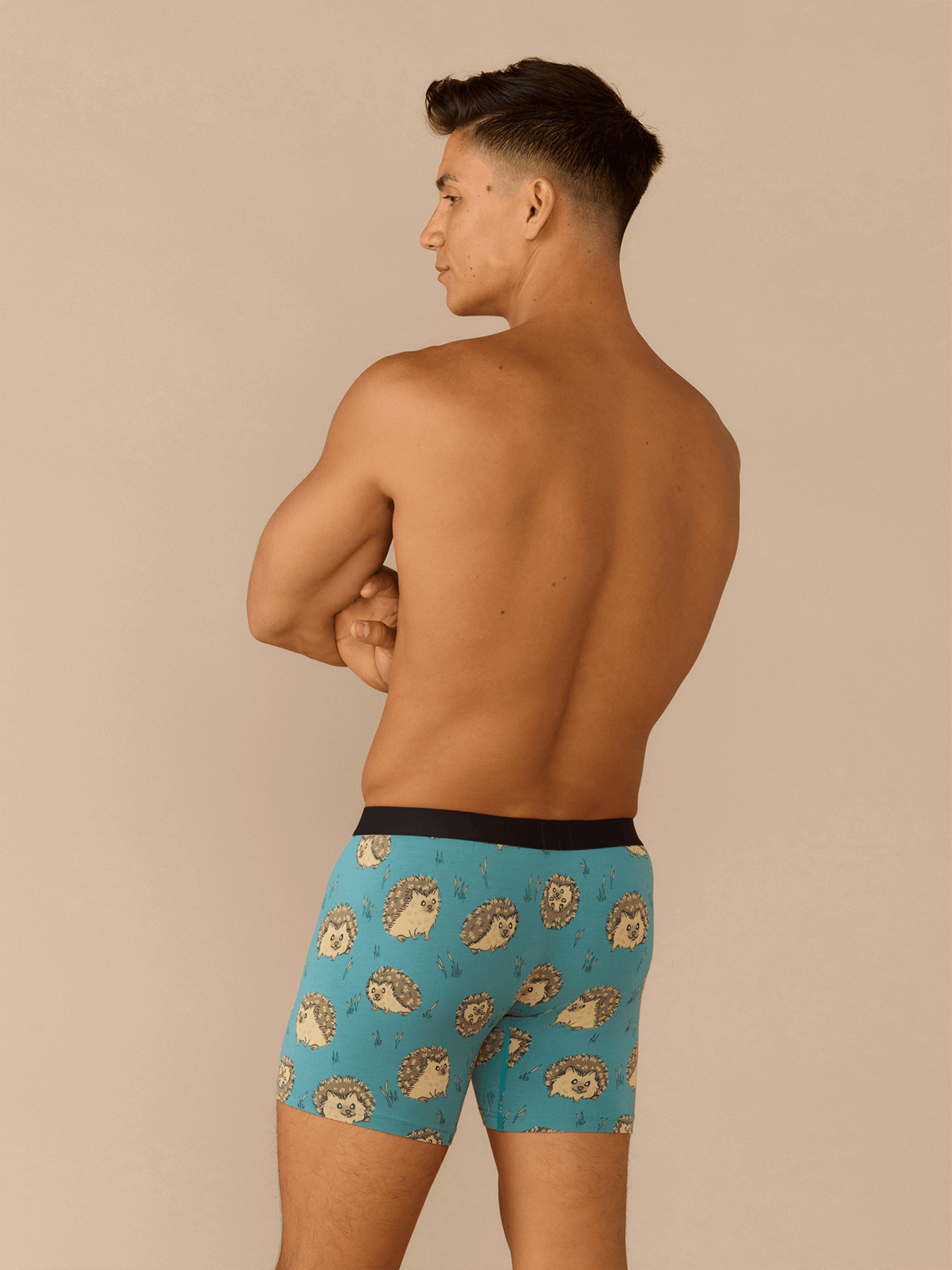 Boxer Brief | Hedgehogs