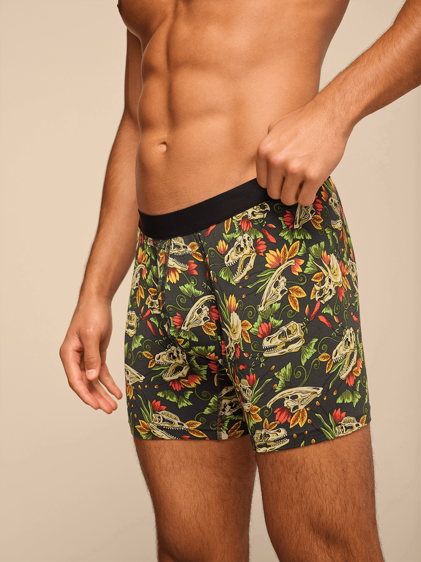 Boxer Brief | Jurassic Garden