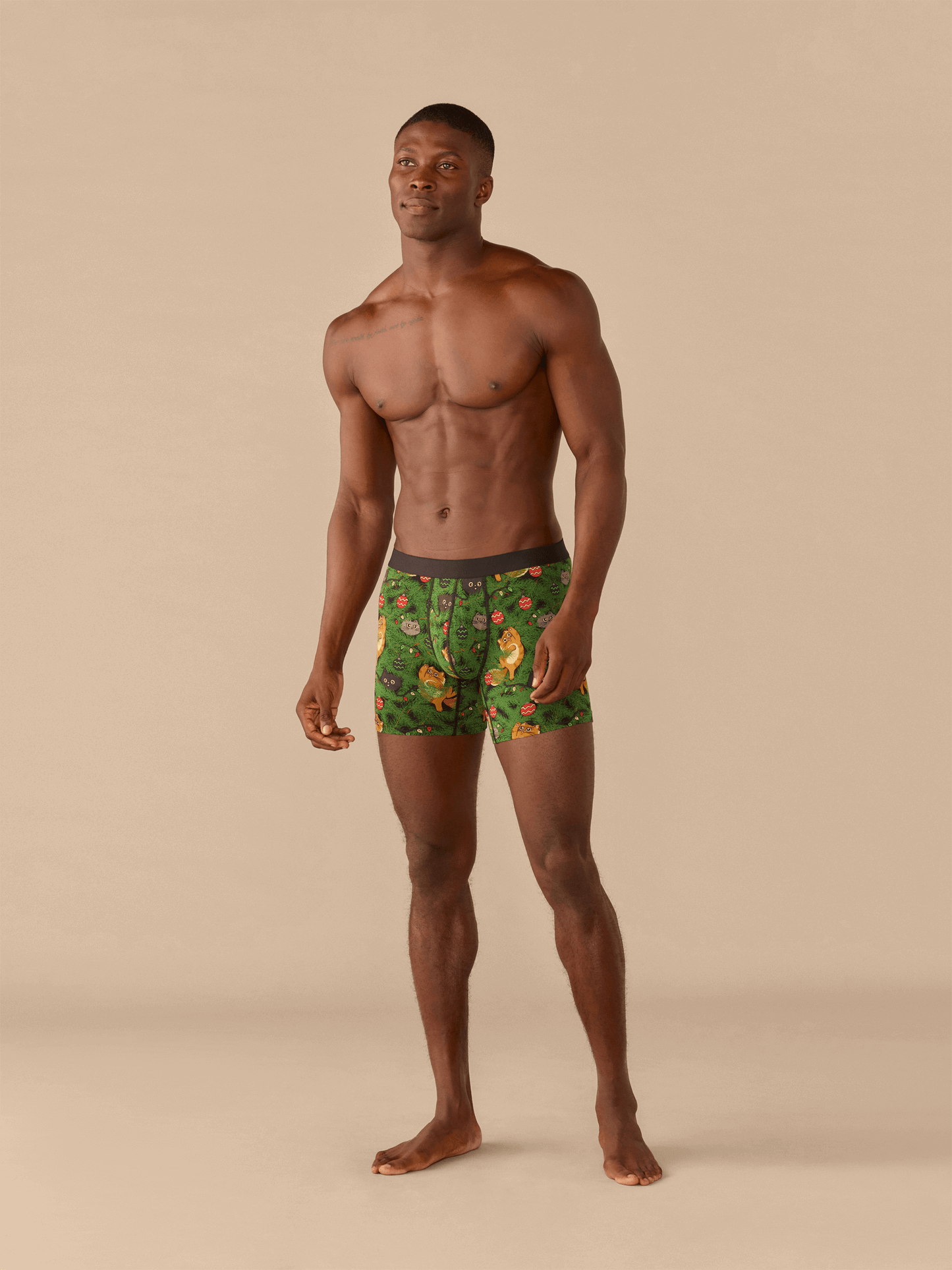 Boxer Brief | Meowy Christmas