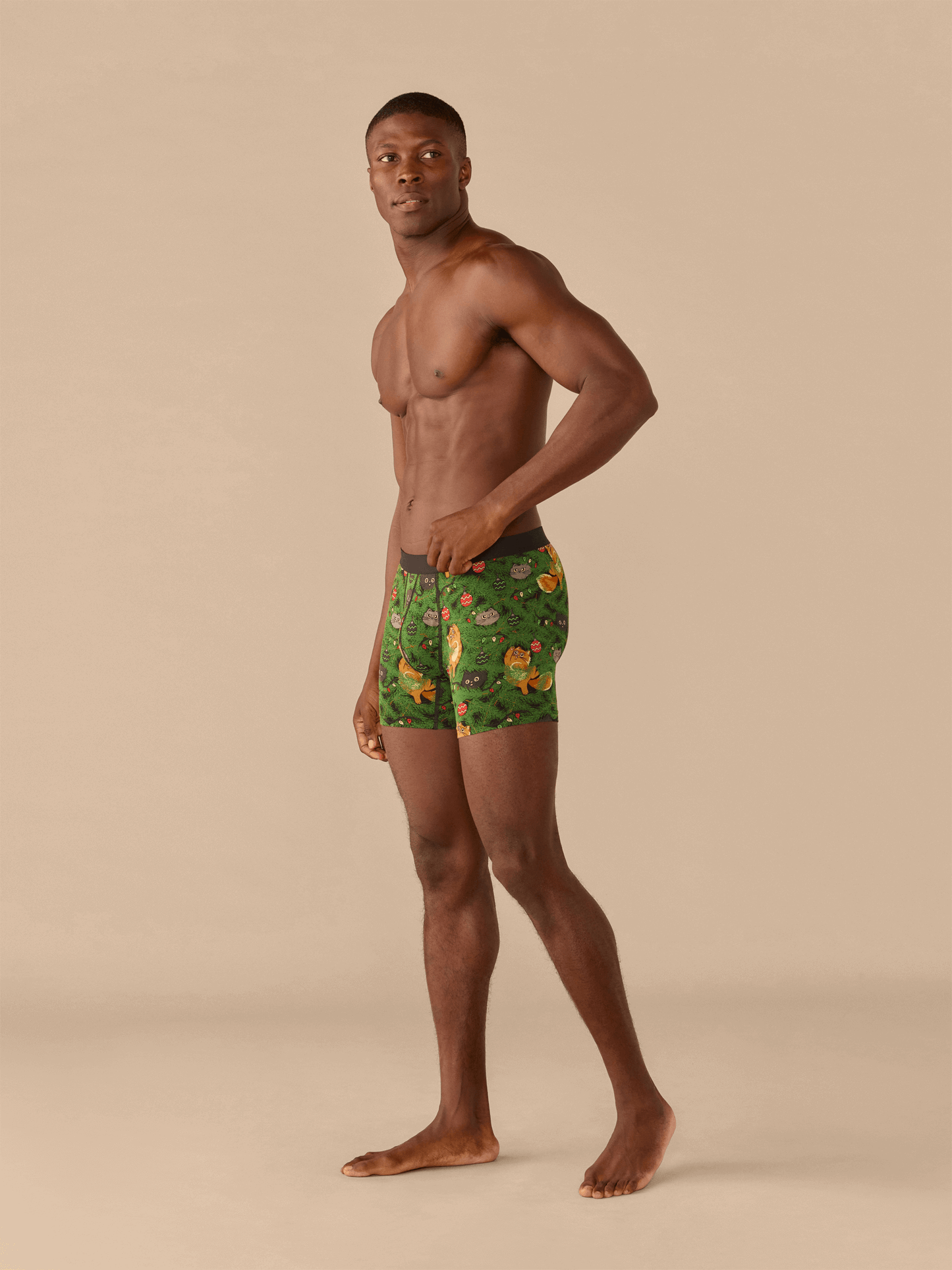 Boxer Brief | Meowy Christmas