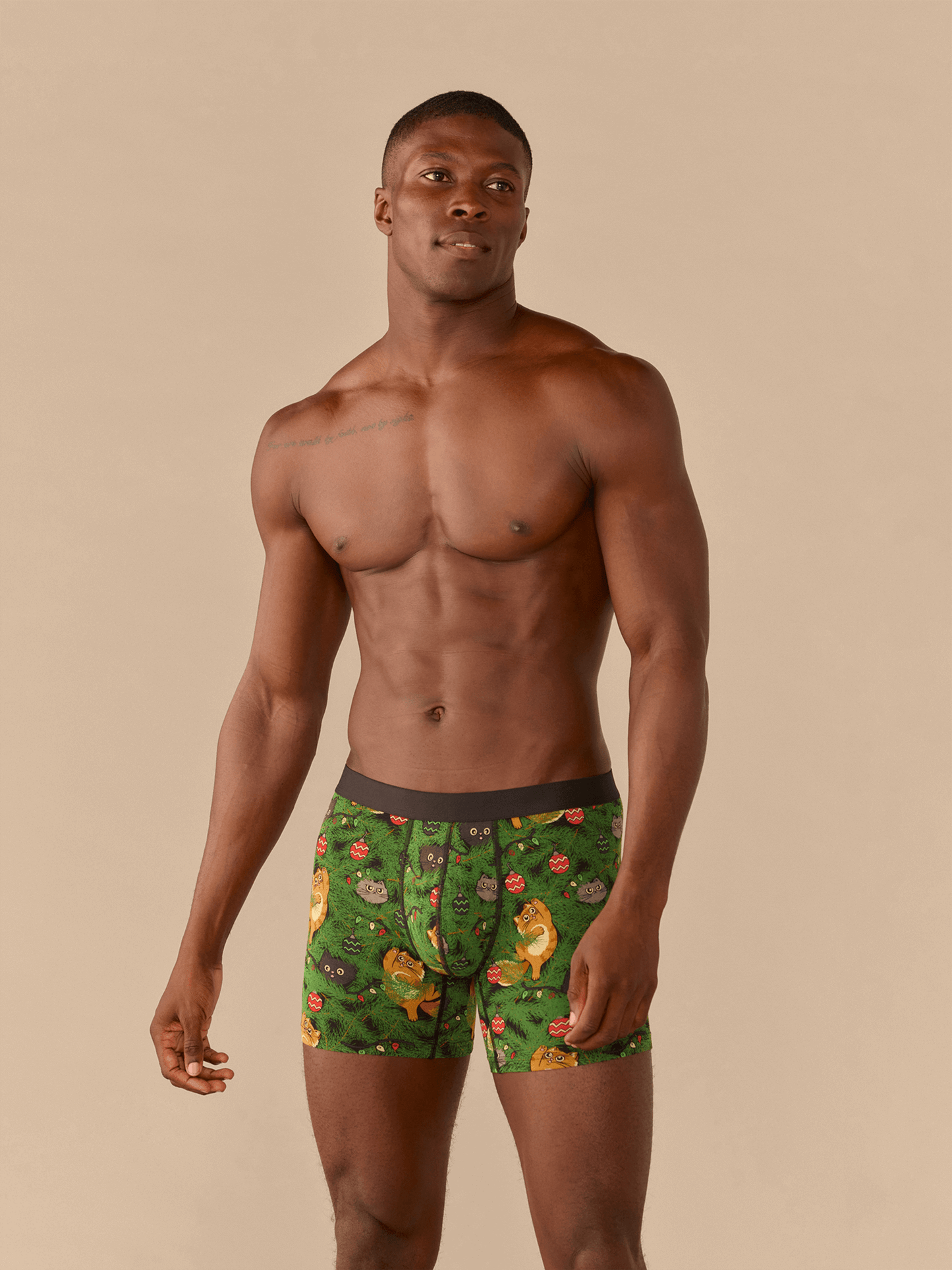 Boxer Brief | Meowy Christmas