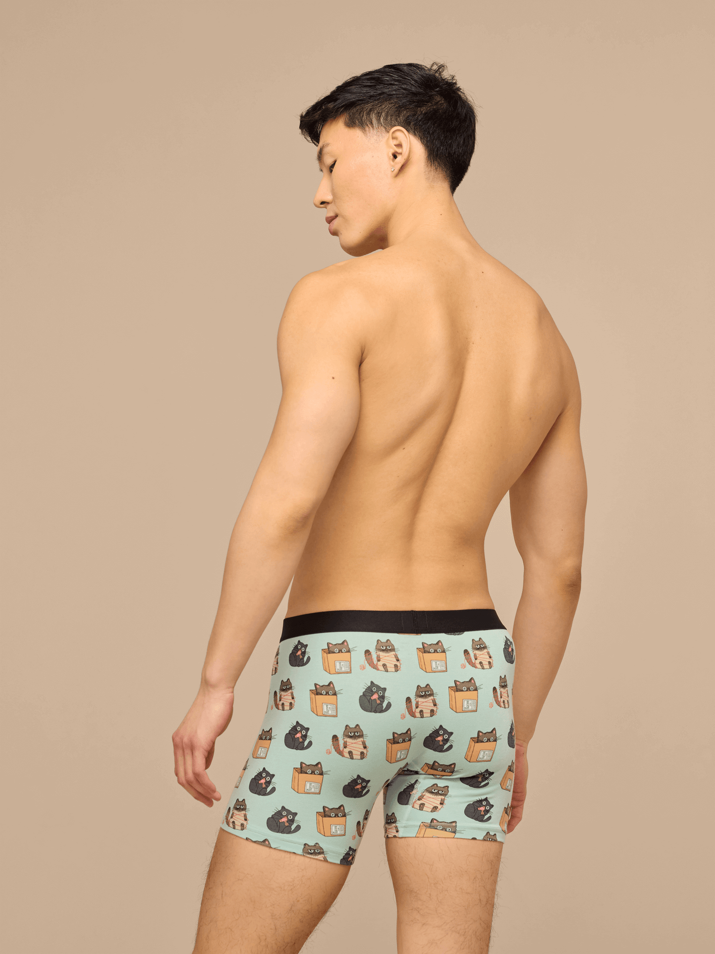 UltraModal™ Core Boxer Brief w/ Fly | Cats Being Cats