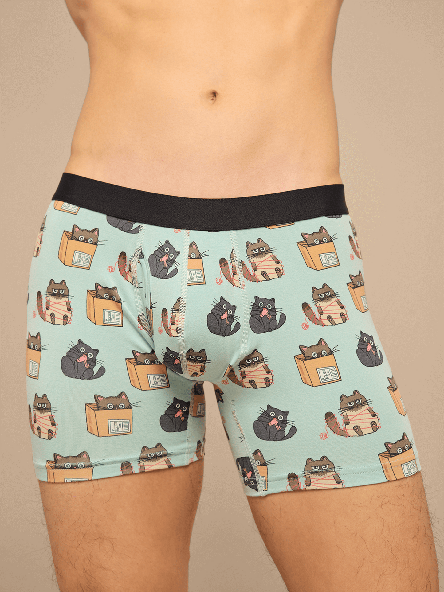 UltraModal™ Core Boxer Brief w/ Fly | Cats Being Cats