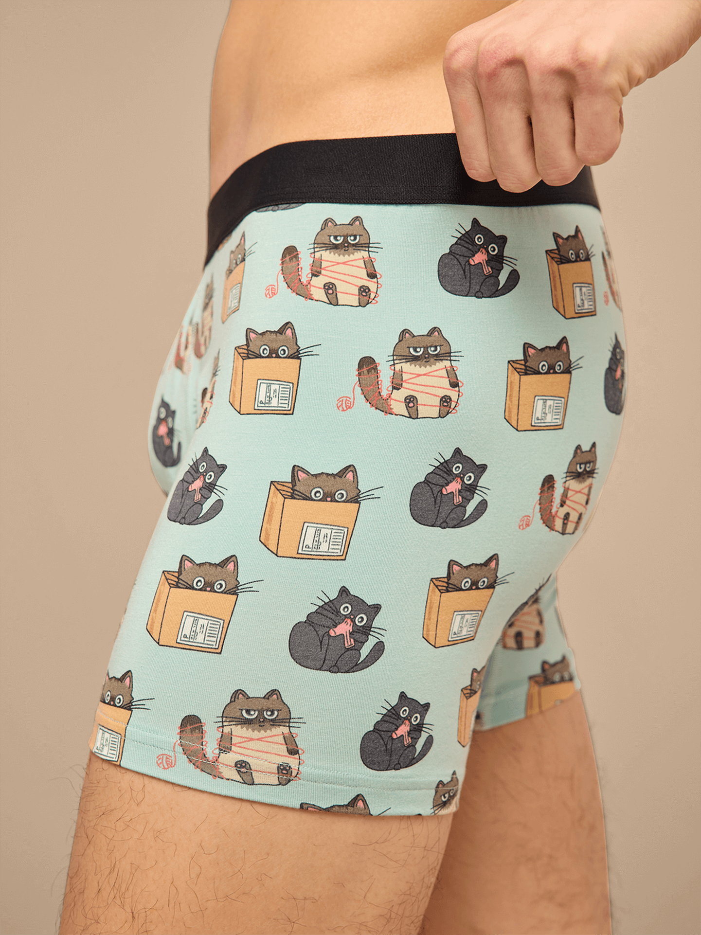 UltraModal™ Core Boxer Brief w/ Fly | Cats Being Cats