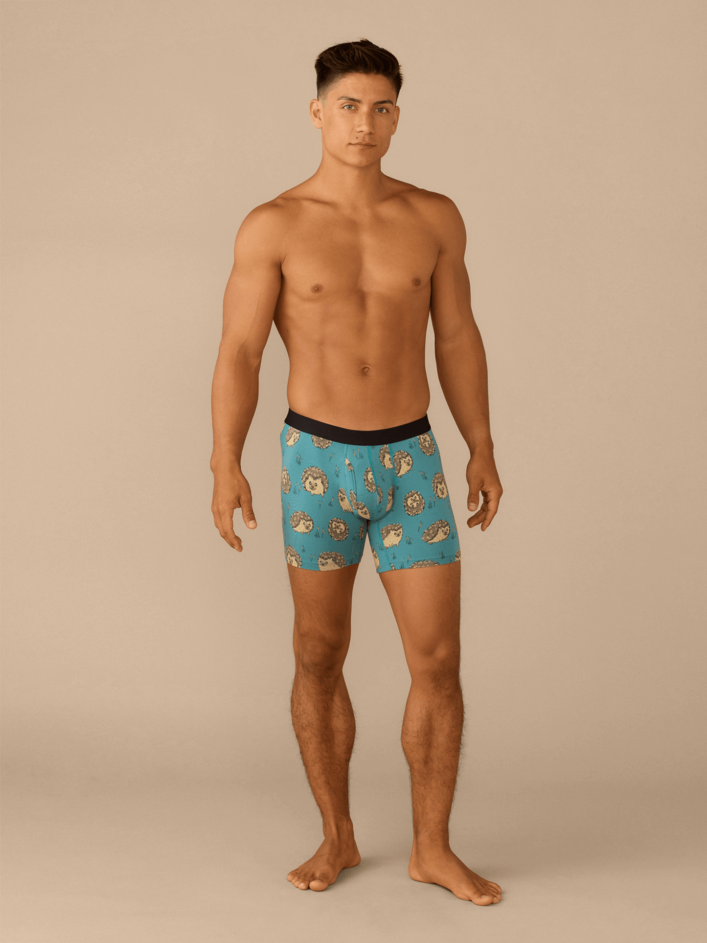 Boxer Brief w/ Fly | Hedgehogs