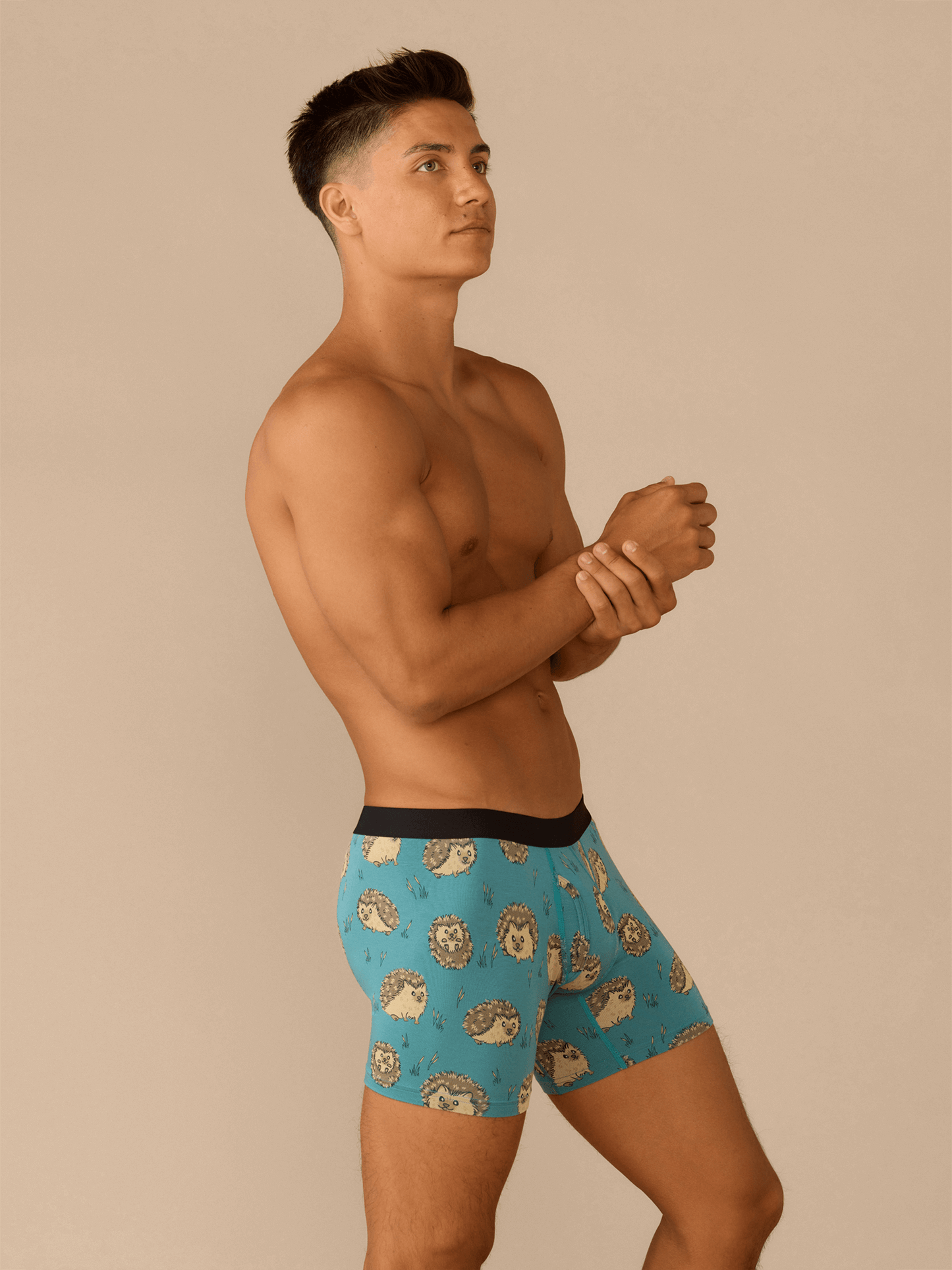 Boxer Brief w/ Fly | Hedgehogs