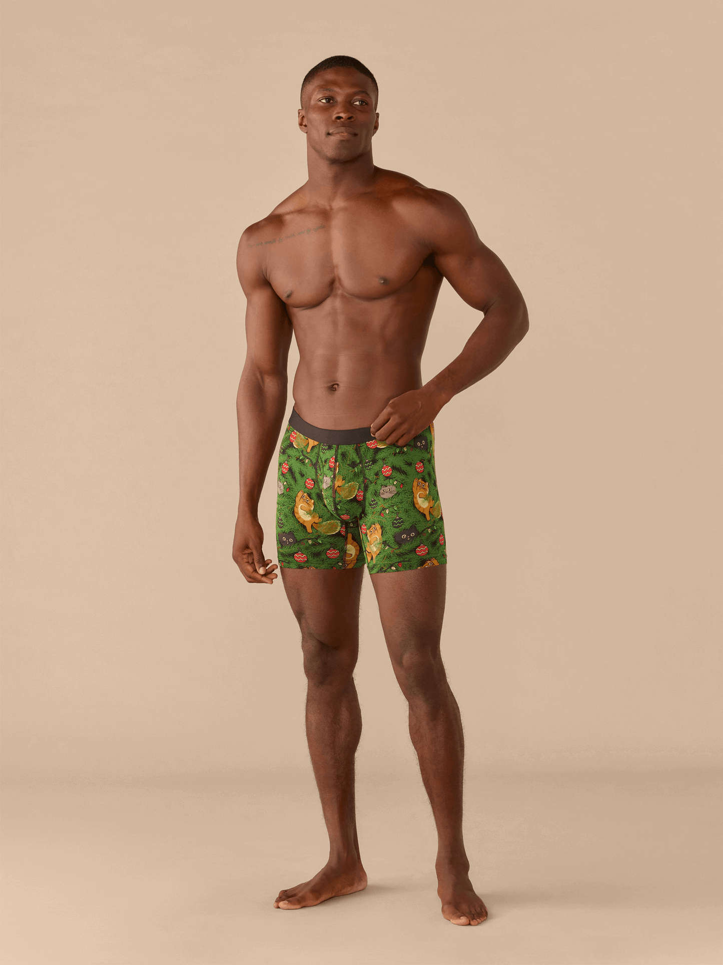 Boxer Brief w/ Fly | Meowy Christmas