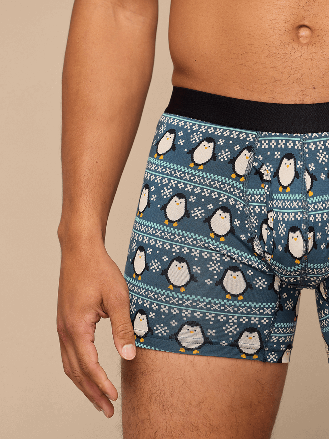 Boxer Brief w/ Fly | Penguin Sweater