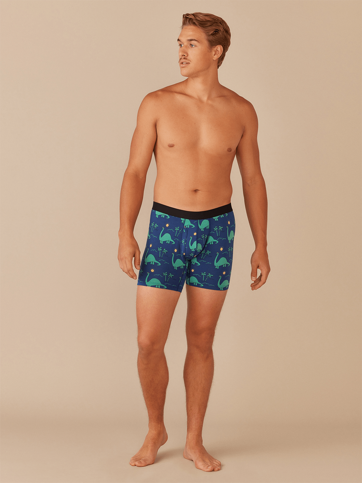 Boxer Brief w/ Fly | Dino Shore