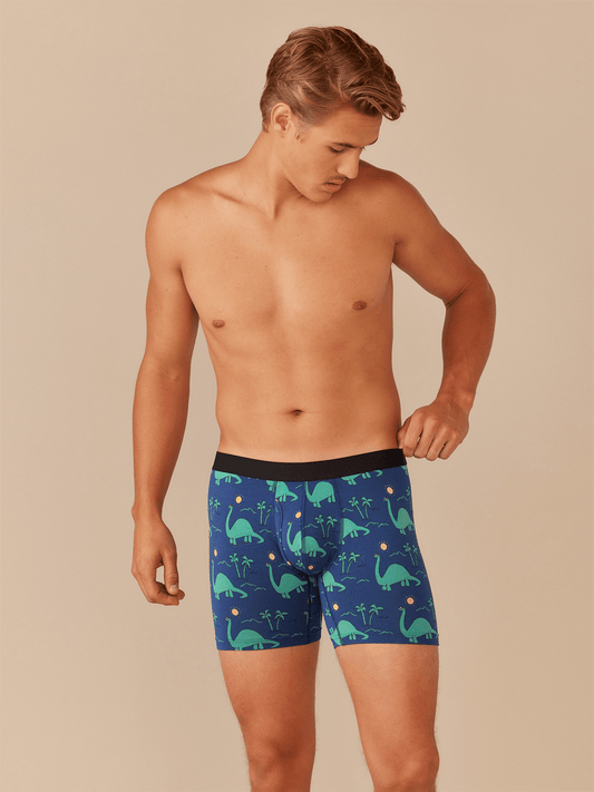 Boxer Brief w/ Fly | Dino Shore