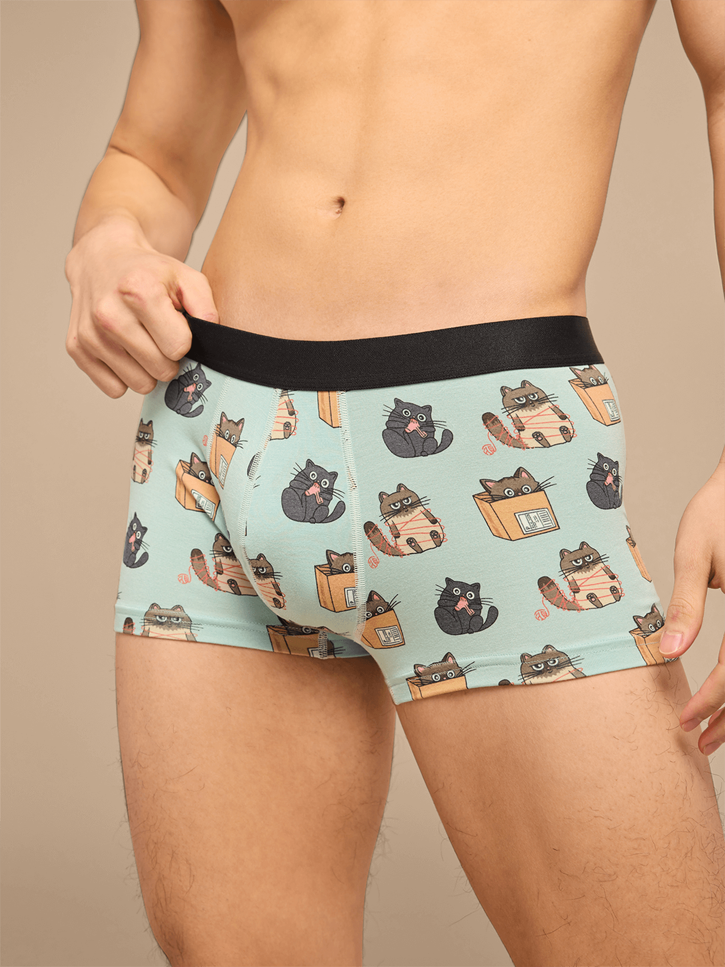 UltraModal™ Core Trunk | Cats Being Cats