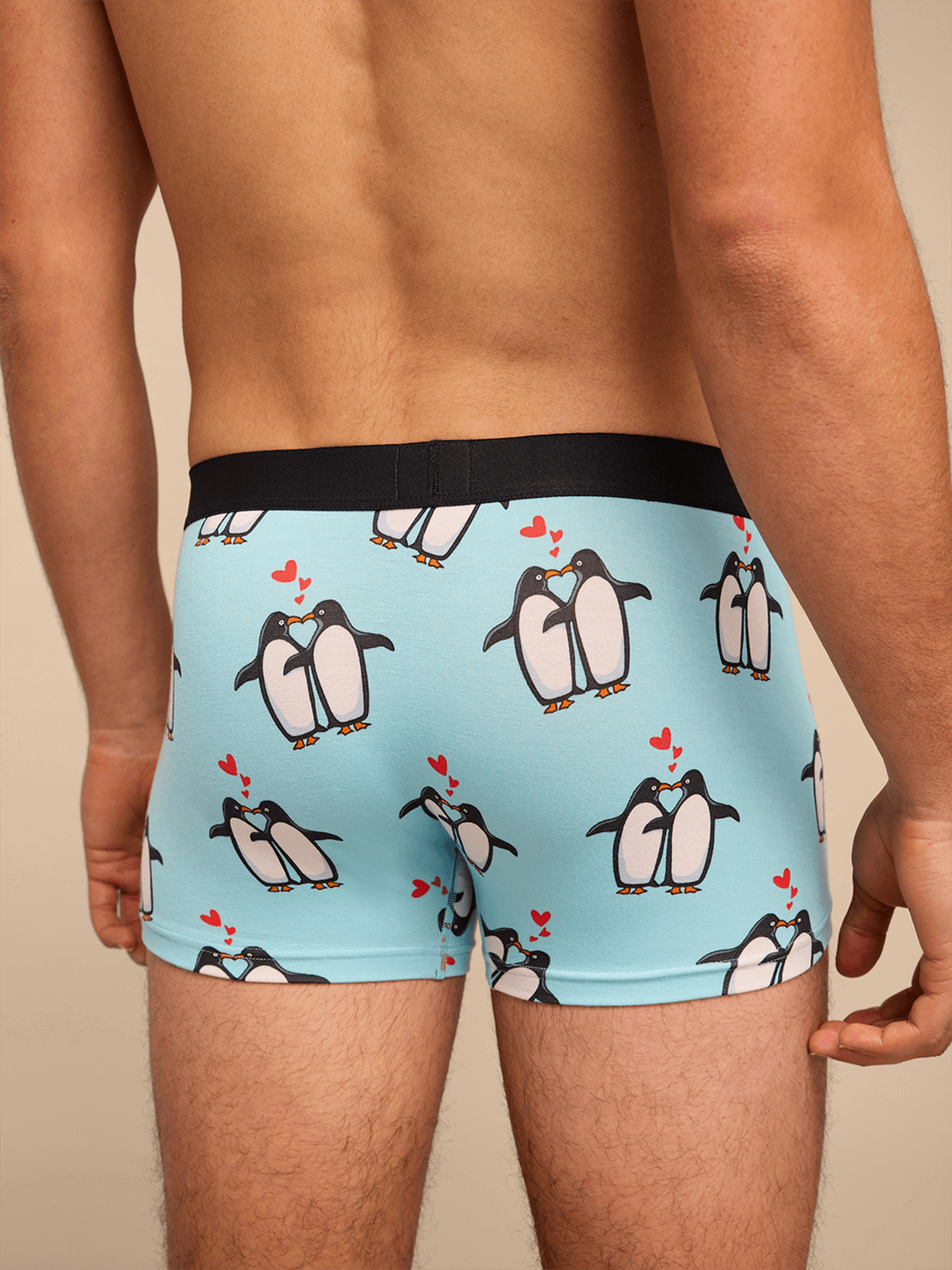 Trunk | You're My Penguin