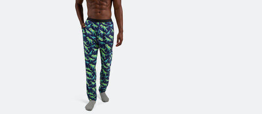 Men's Lounge Pants | T-Rexin'