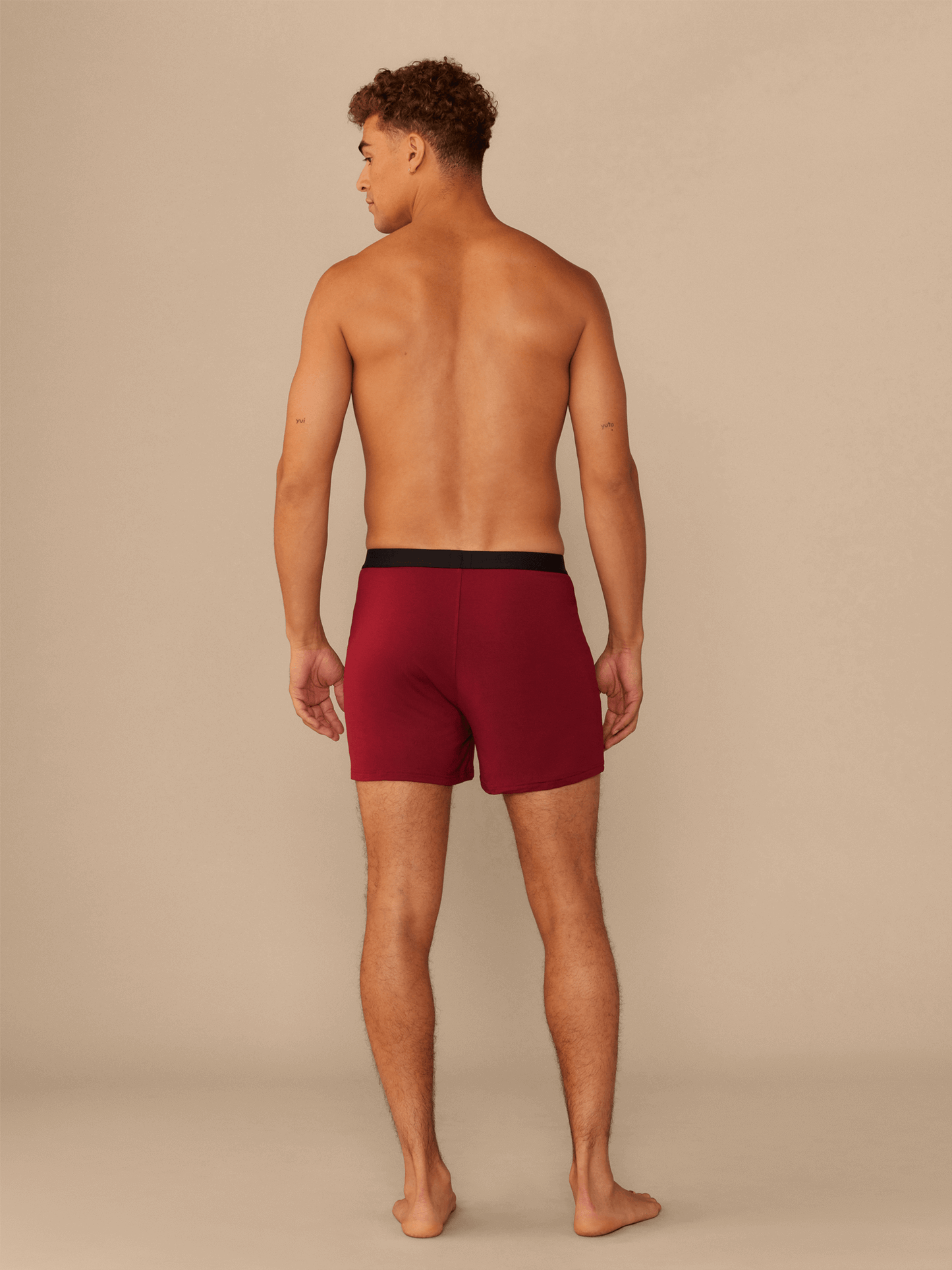 Boxer | Cabernet