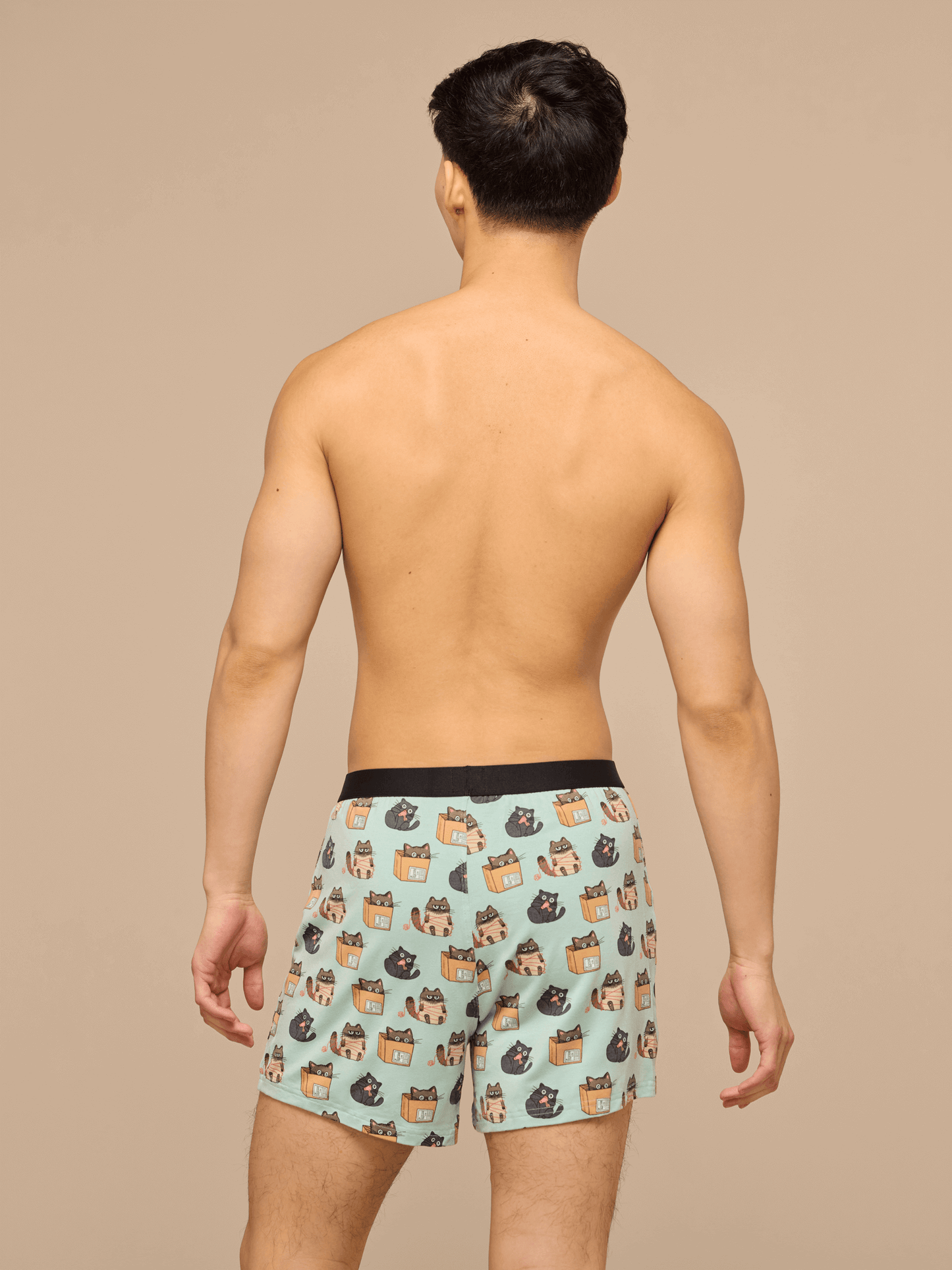 UltraModal™ Core Boxer | Cats Being Cats