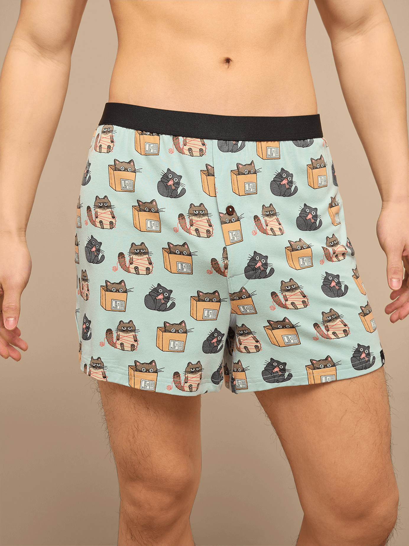 UltraModal™ Core Boxer | Cats Being Cats