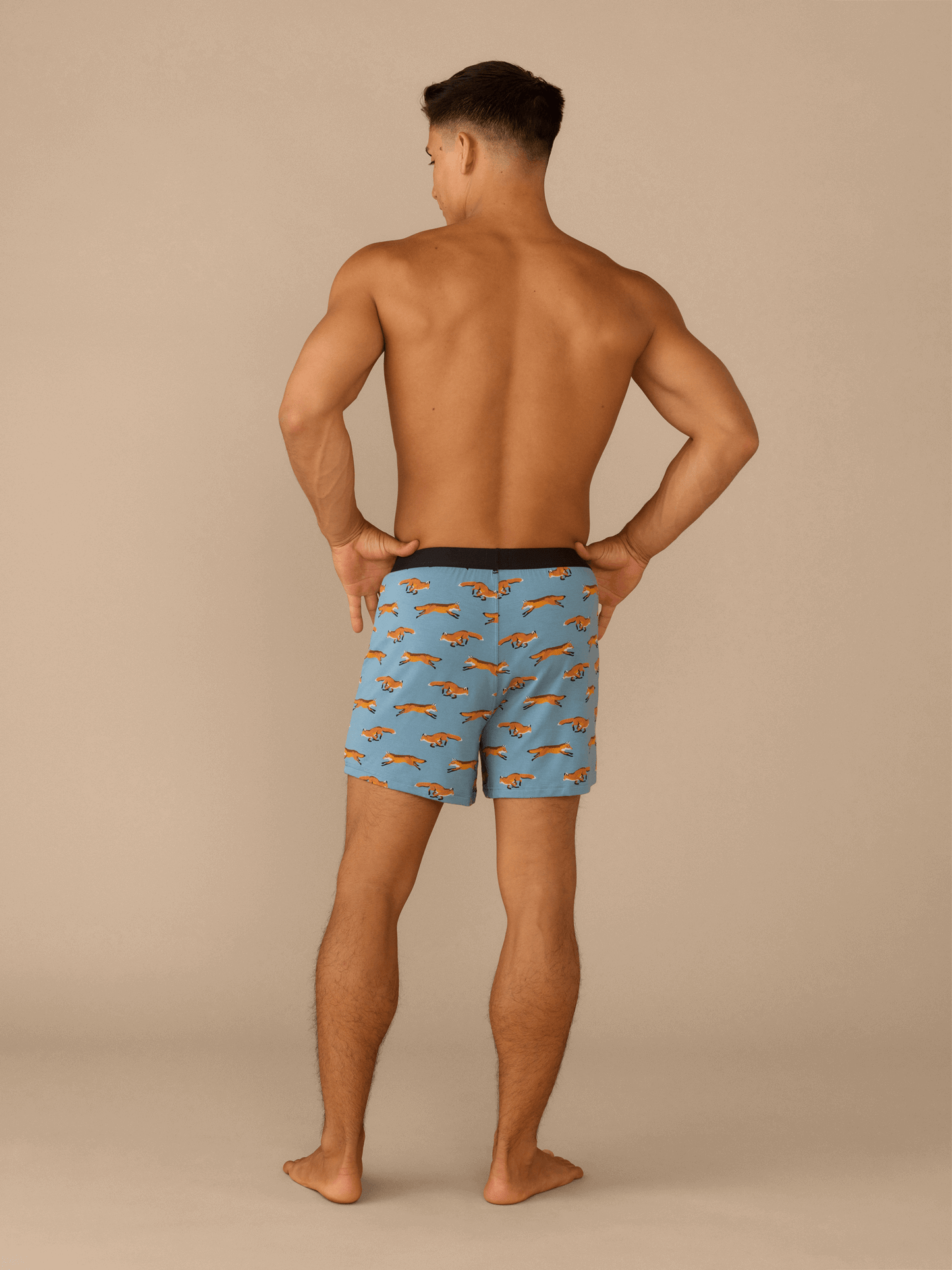 Boxer | Feeling Foxy