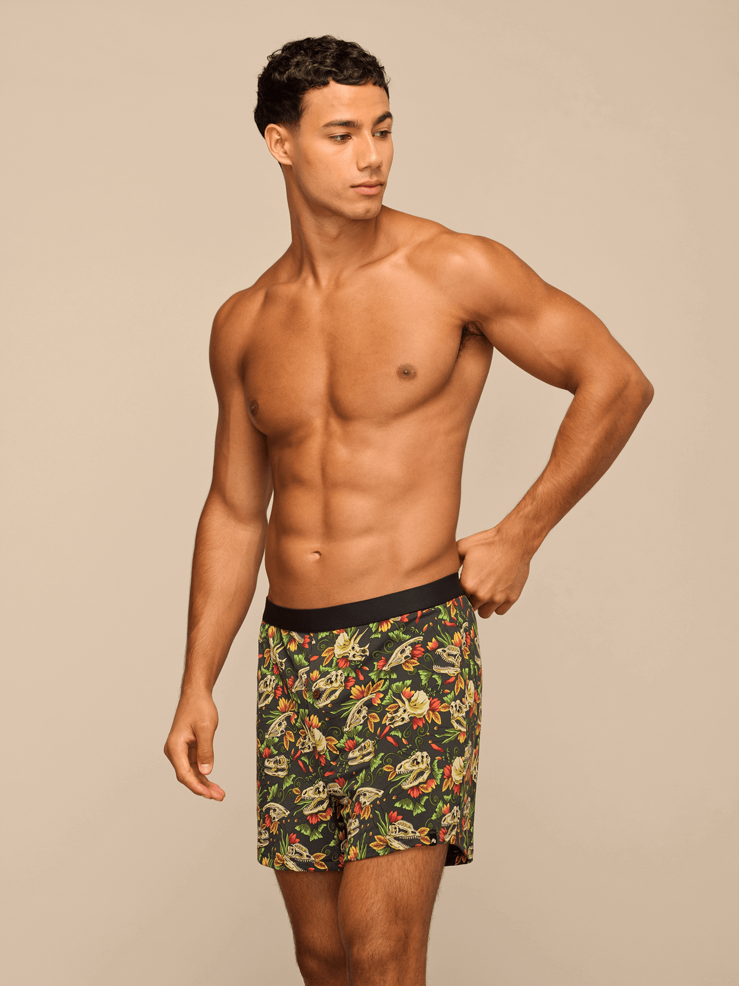 UltraModal™ Core Boxer | Jurassic Garden