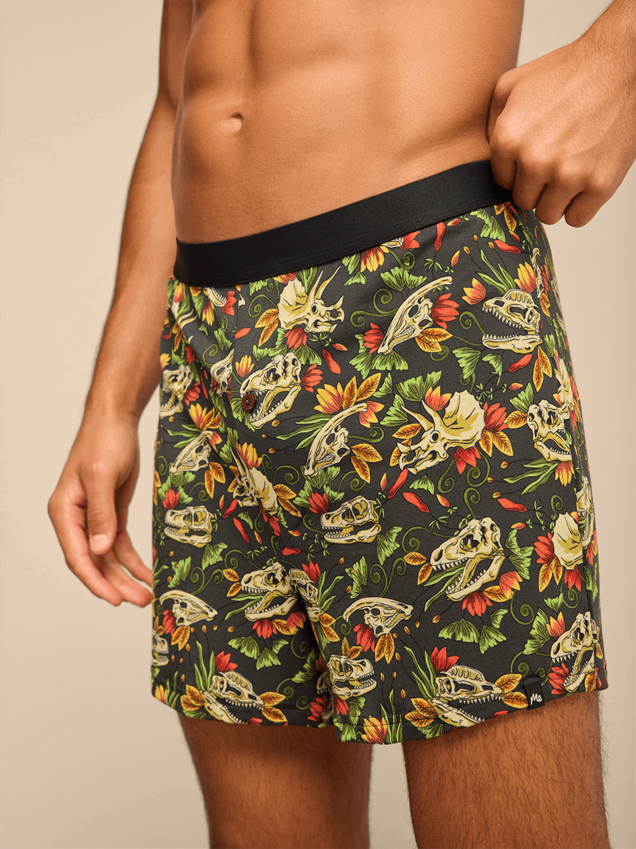 UltraModal™ Core Boxer | Jurassic Garden