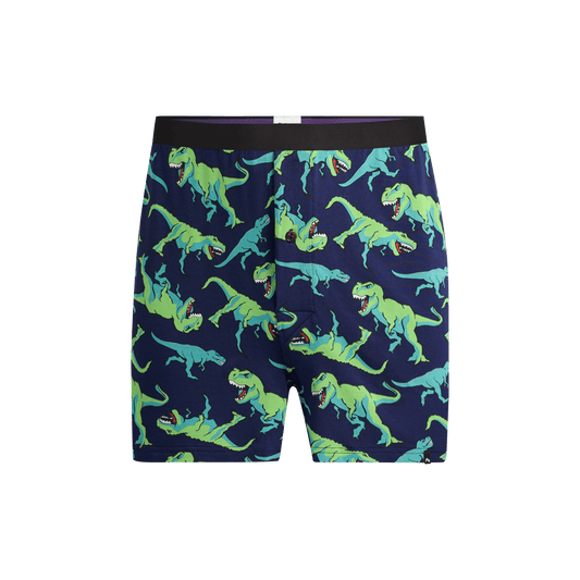 Boxer | T-Rexin'