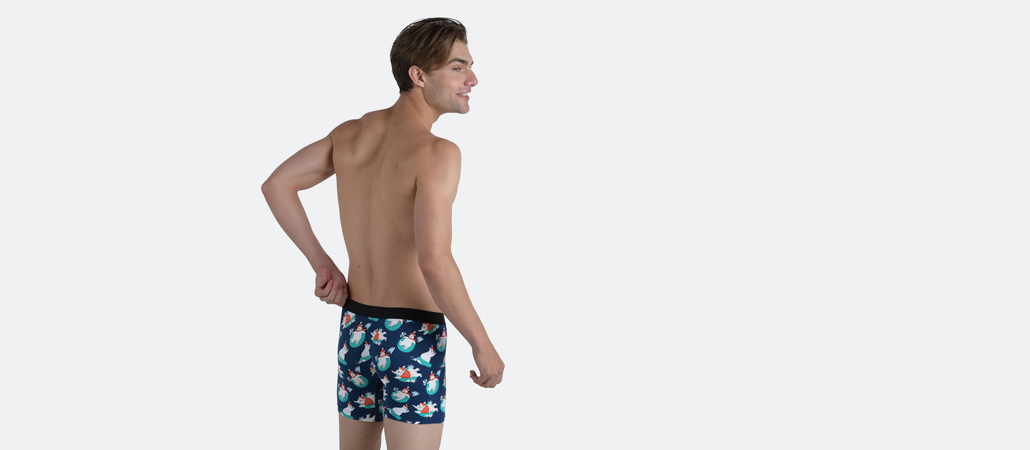 Boxer Brief | Beary and Bright