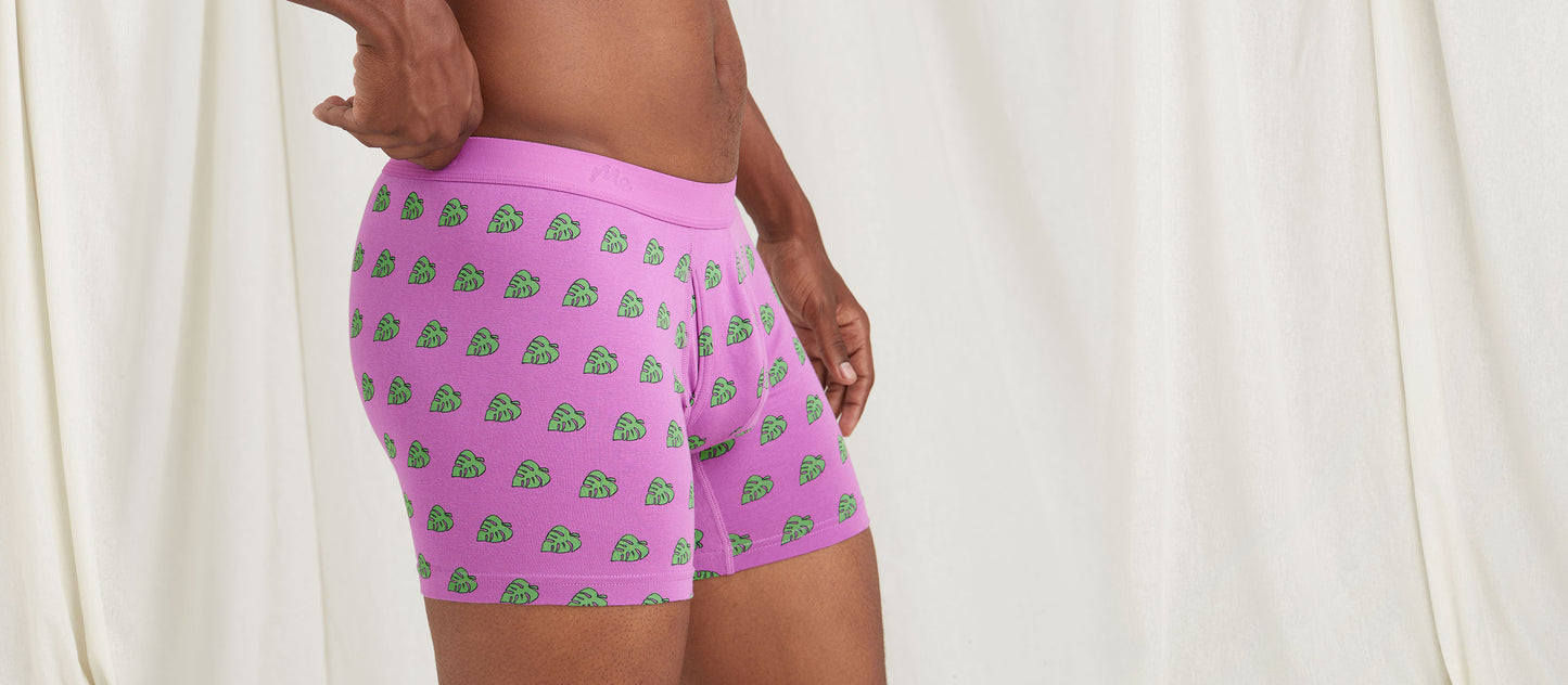 Stretch Cotton Boxer Brief w/ Fly | Monstera Leaf