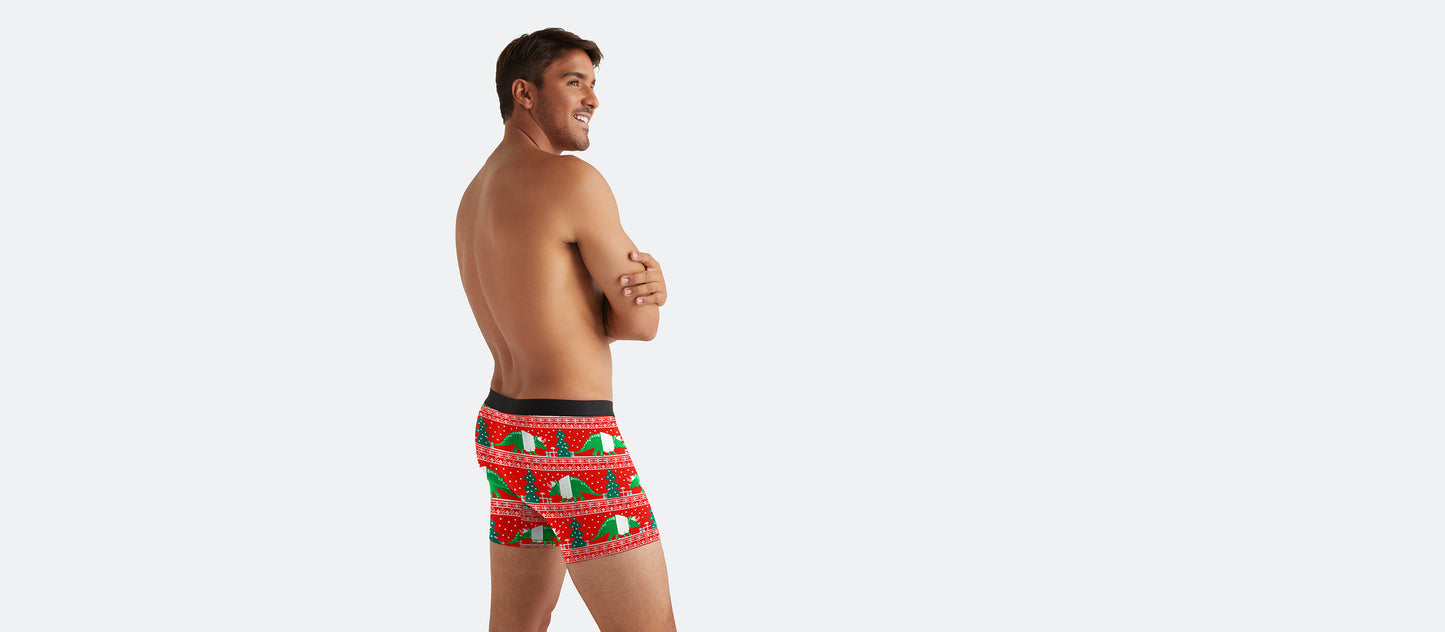 Boxer Brief w/ Fly | Cozy Dino