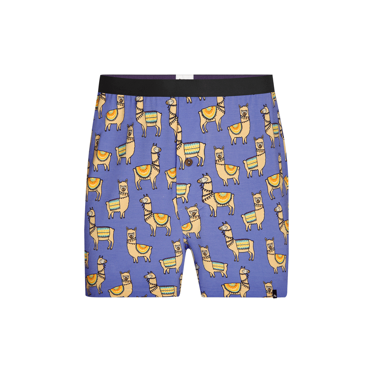 Boxer | No Probllama