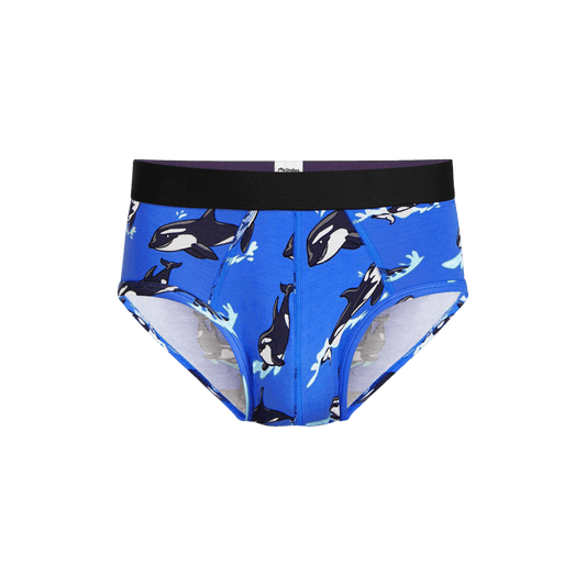 Brief | Orcas