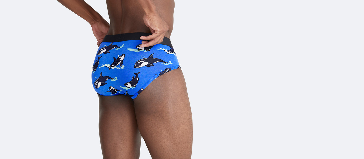 Brief | Orcas