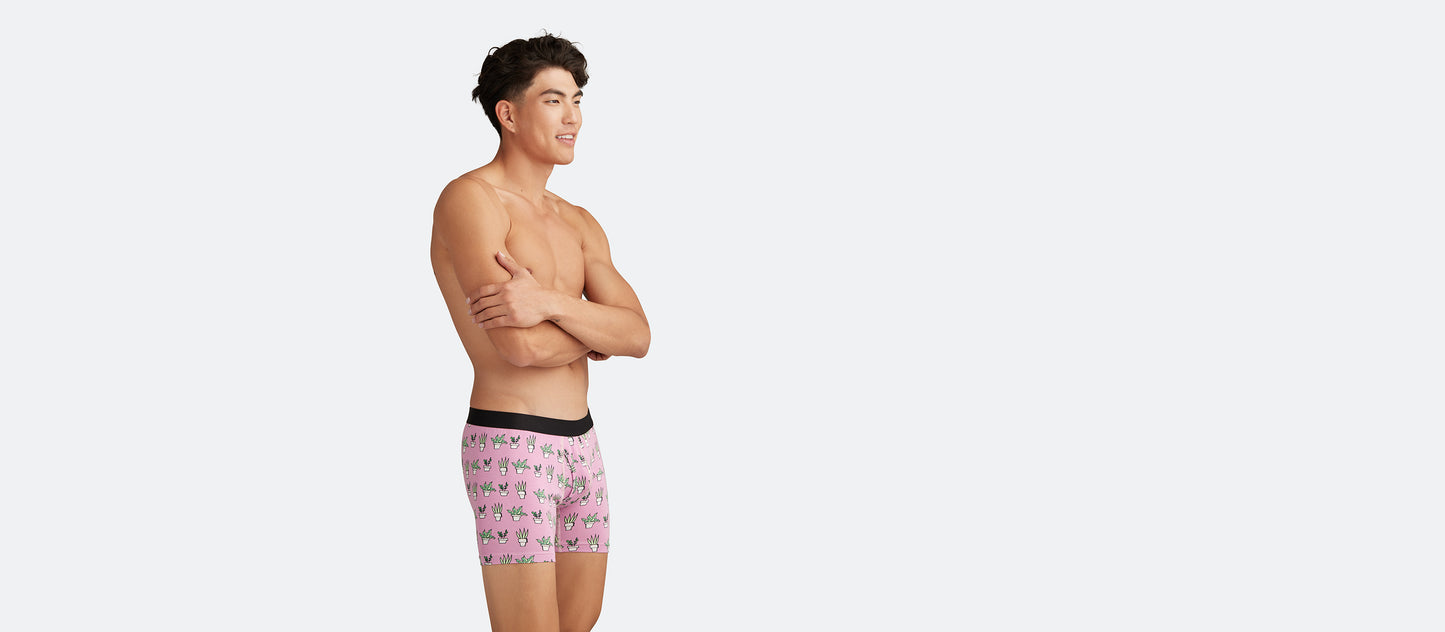 Boxer Brief w/ Fly | Potted