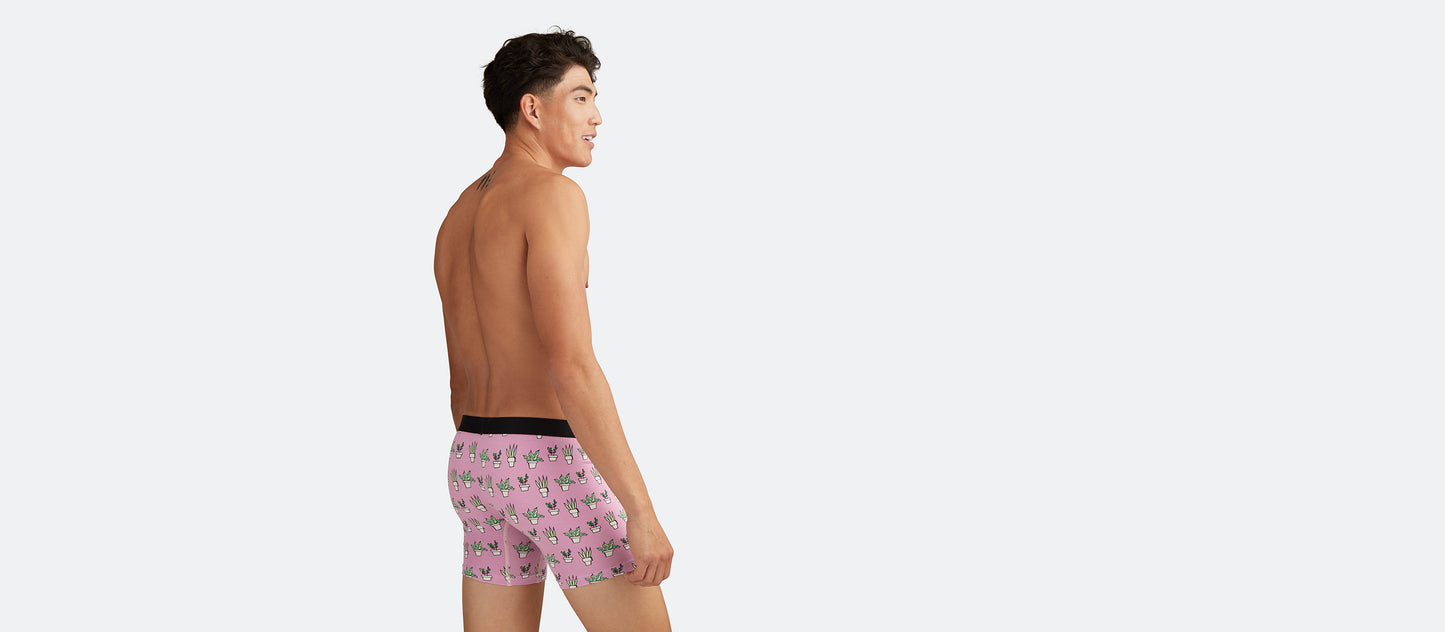 Boxer Brief w/ Fly | Potted