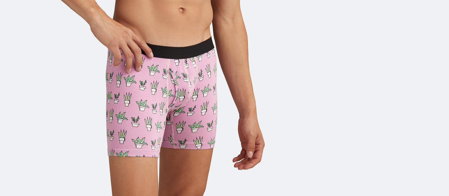 Boxer Brief w/ Fly | Potted