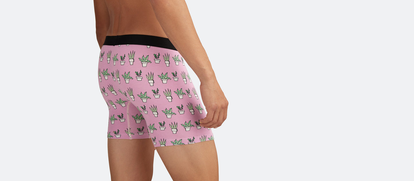 Boxer Brief w/ Fly | Potted