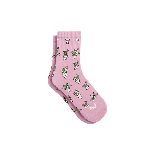 Quarter Sock | Potted