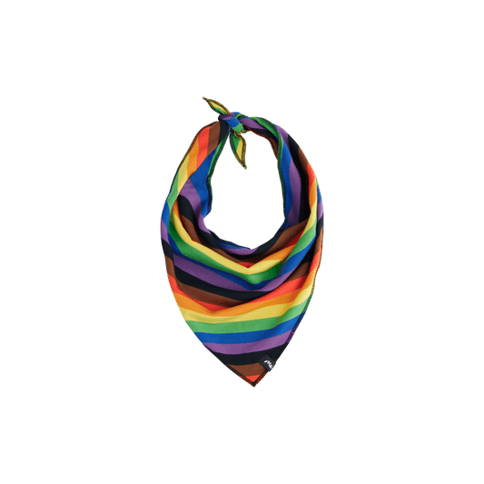 UltraModal™ BuddyBands™  | Pride