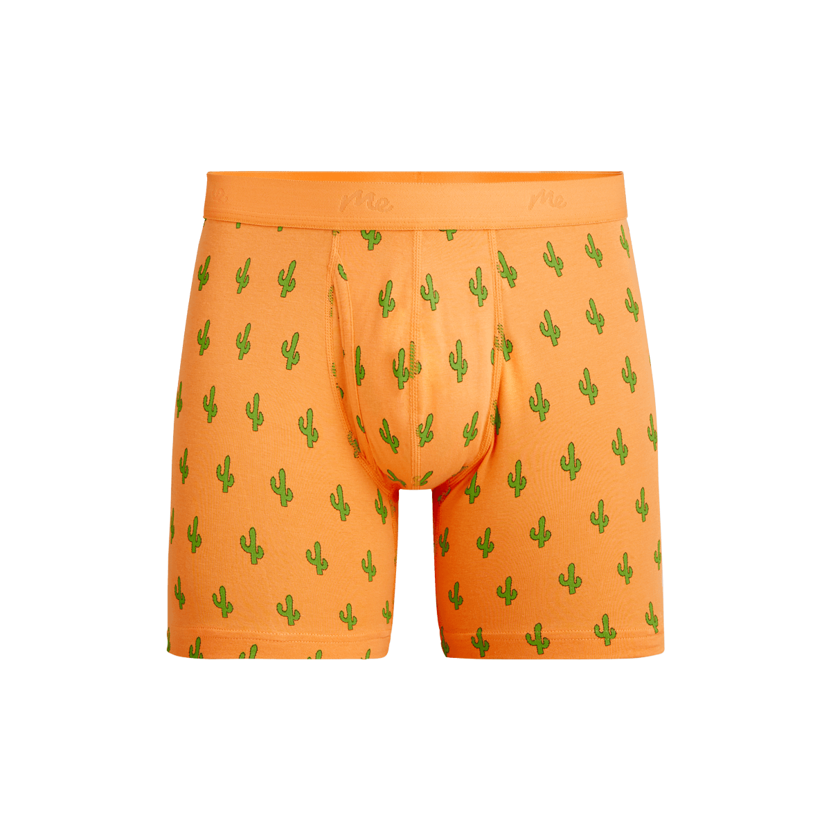 Stretch Cotton Boxer Brief w/ Fly | Saguaro Blossom