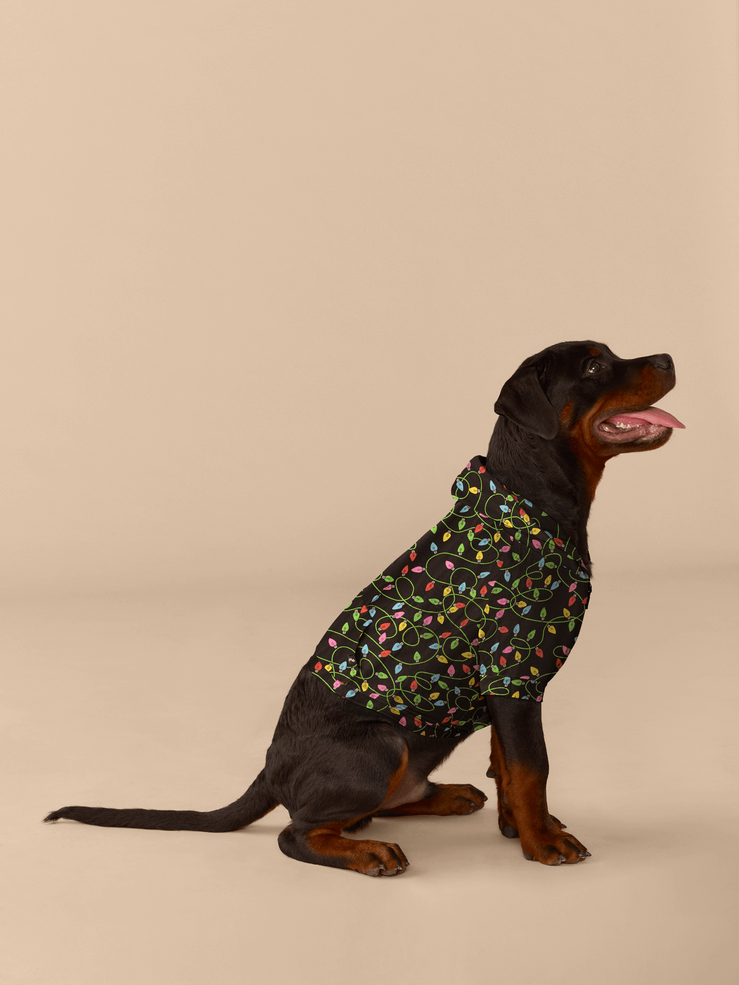 Dog Hoodie | String Lights