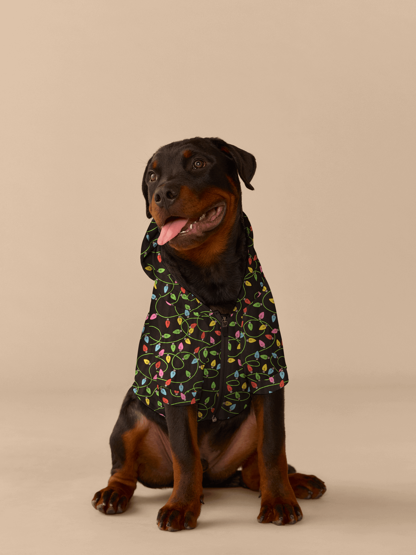 Dog Hoodie | String Lights