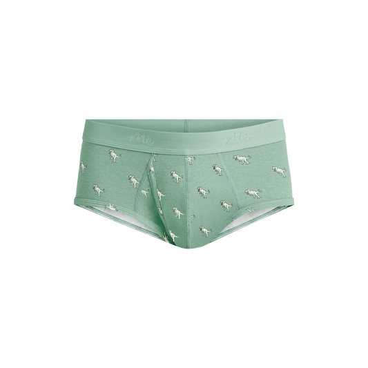 Stretch Cotton Brief w/ Fly | T-Rex