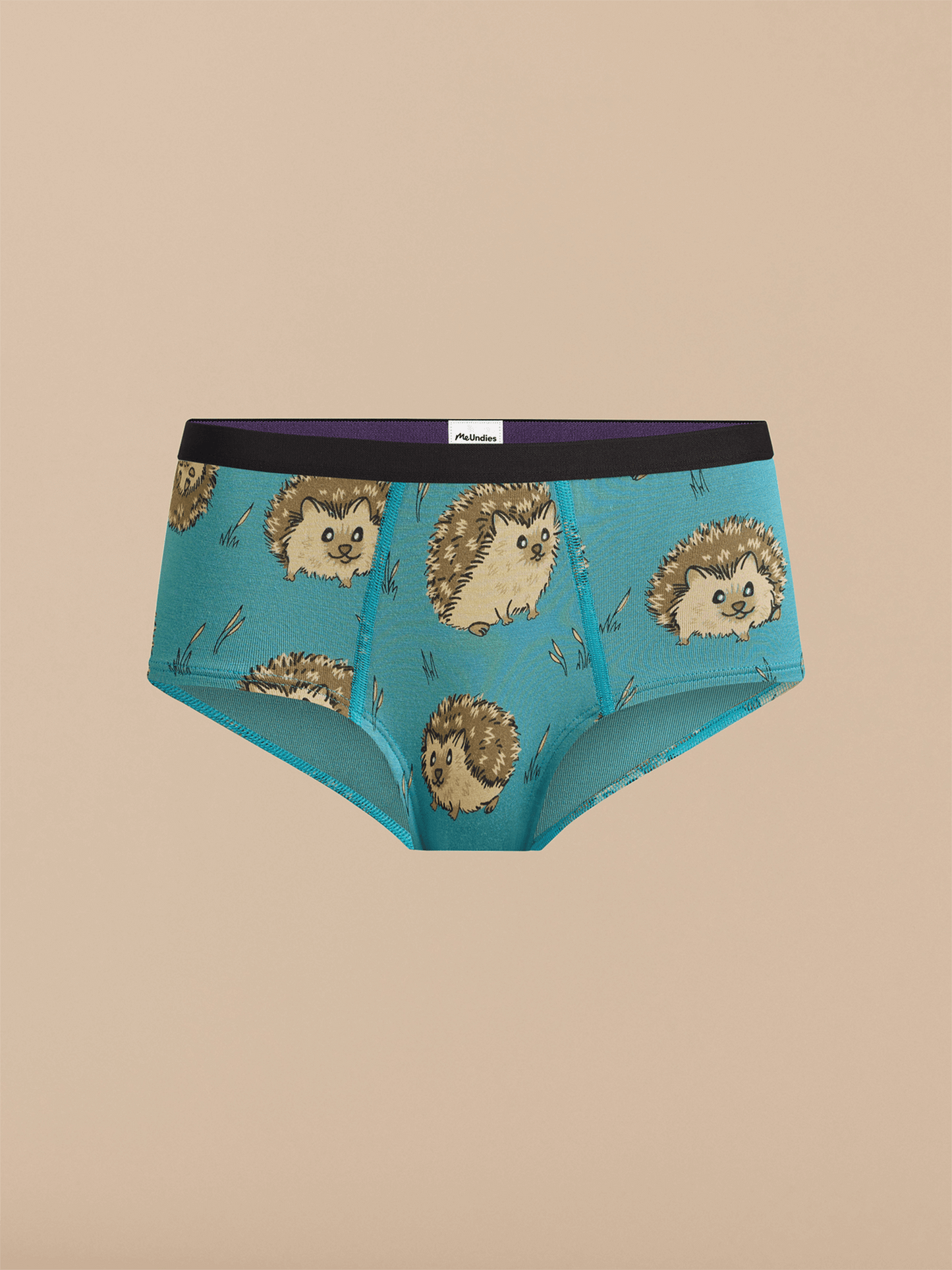 Cheeky Brief | Hedgehogs