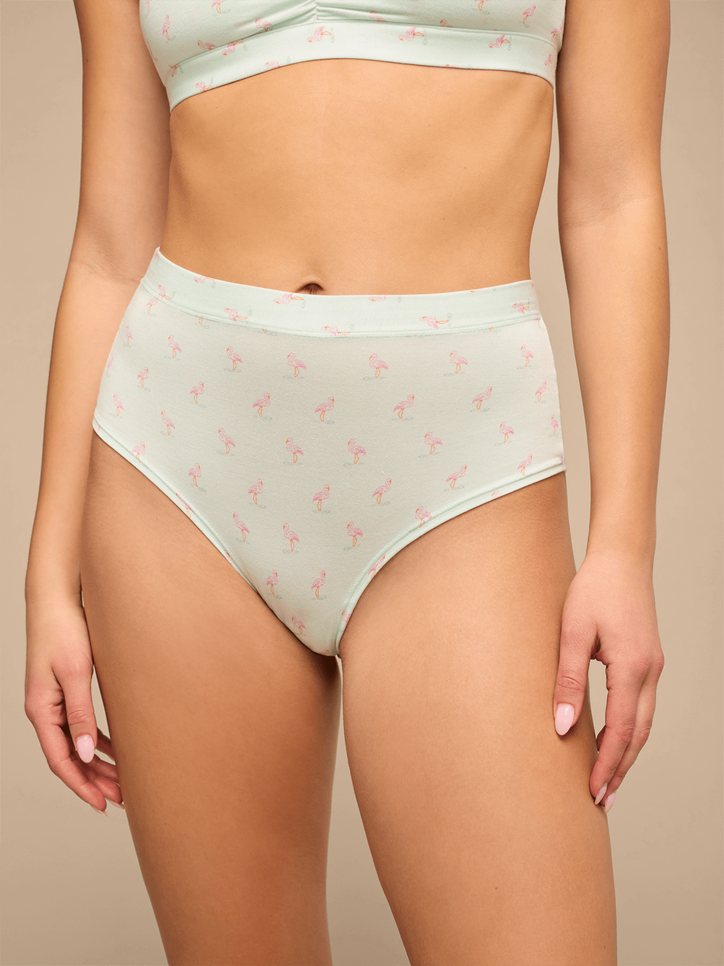 UltraModal™ FeelFree High-Waisted Cheeky | Blue Flamingos