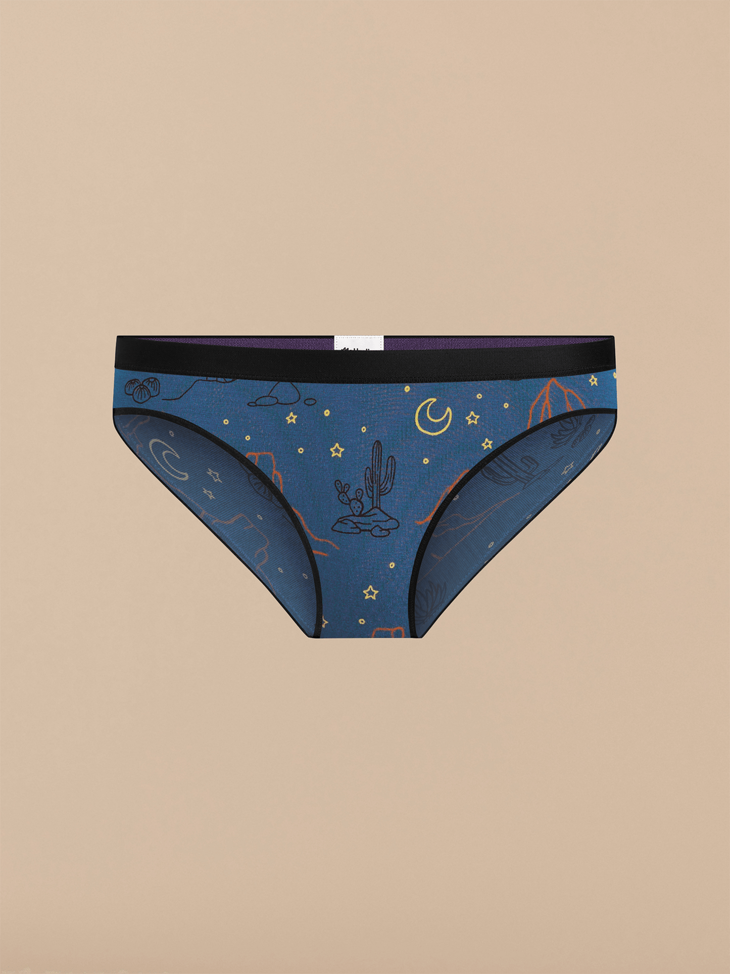 Bikini | Desert Sky