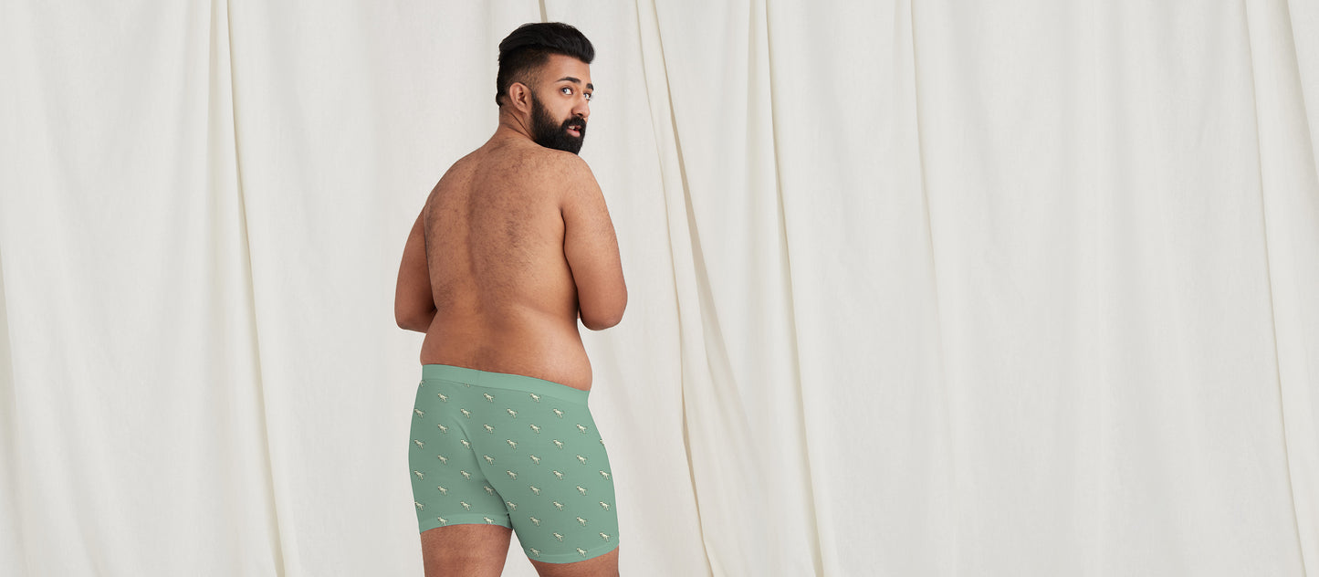 Stretch Cotton Boxer Brief w/ Fly | T-Rex