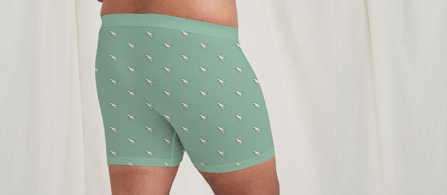 Stretch Cotton Boxer Brief w/ Fly | T-Rex