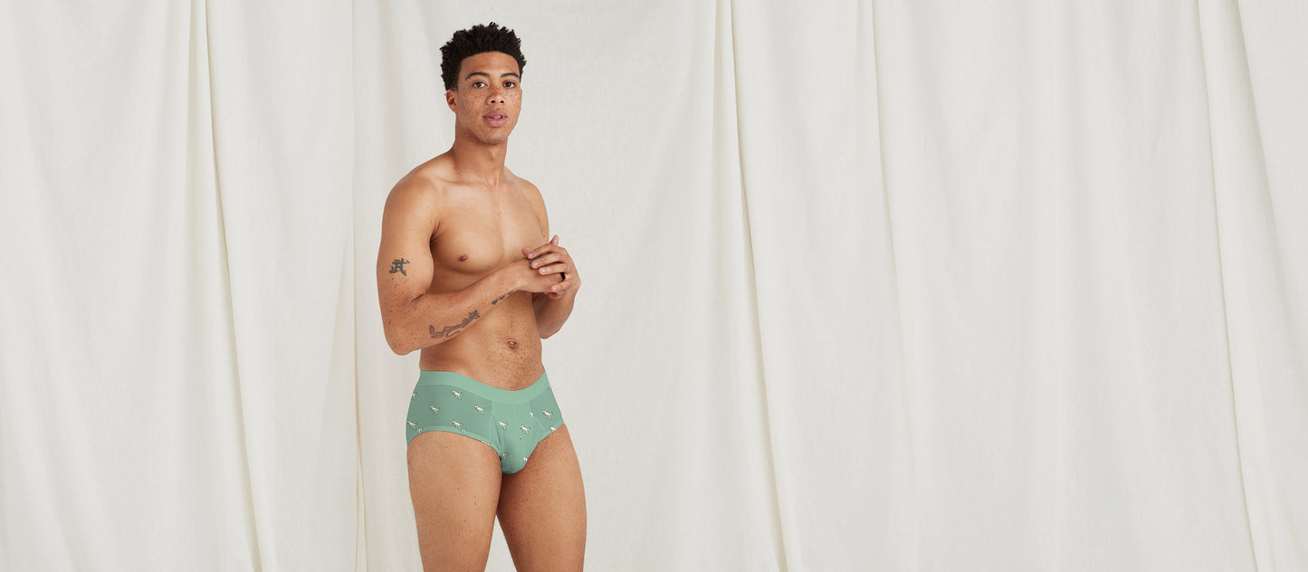 Stretch Cotton Brief w/ Fly | T-Rex