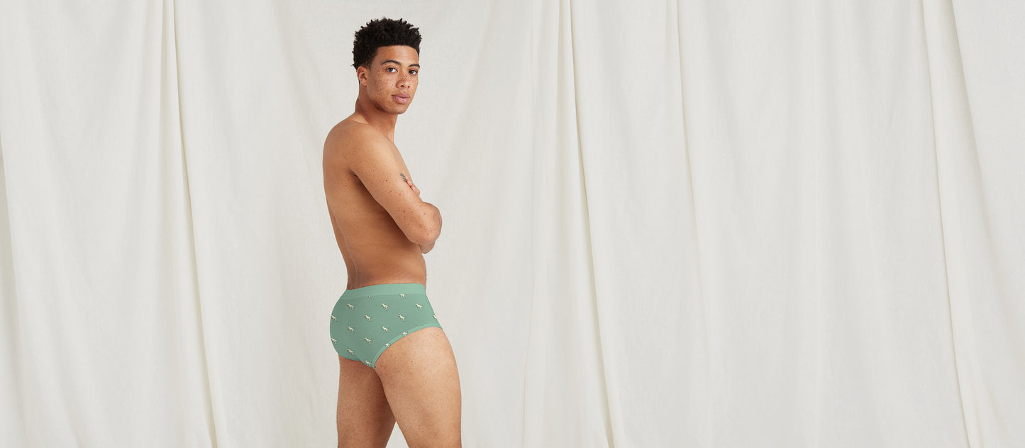 Stretch Cotton Brief w/ Fly | T-Rex