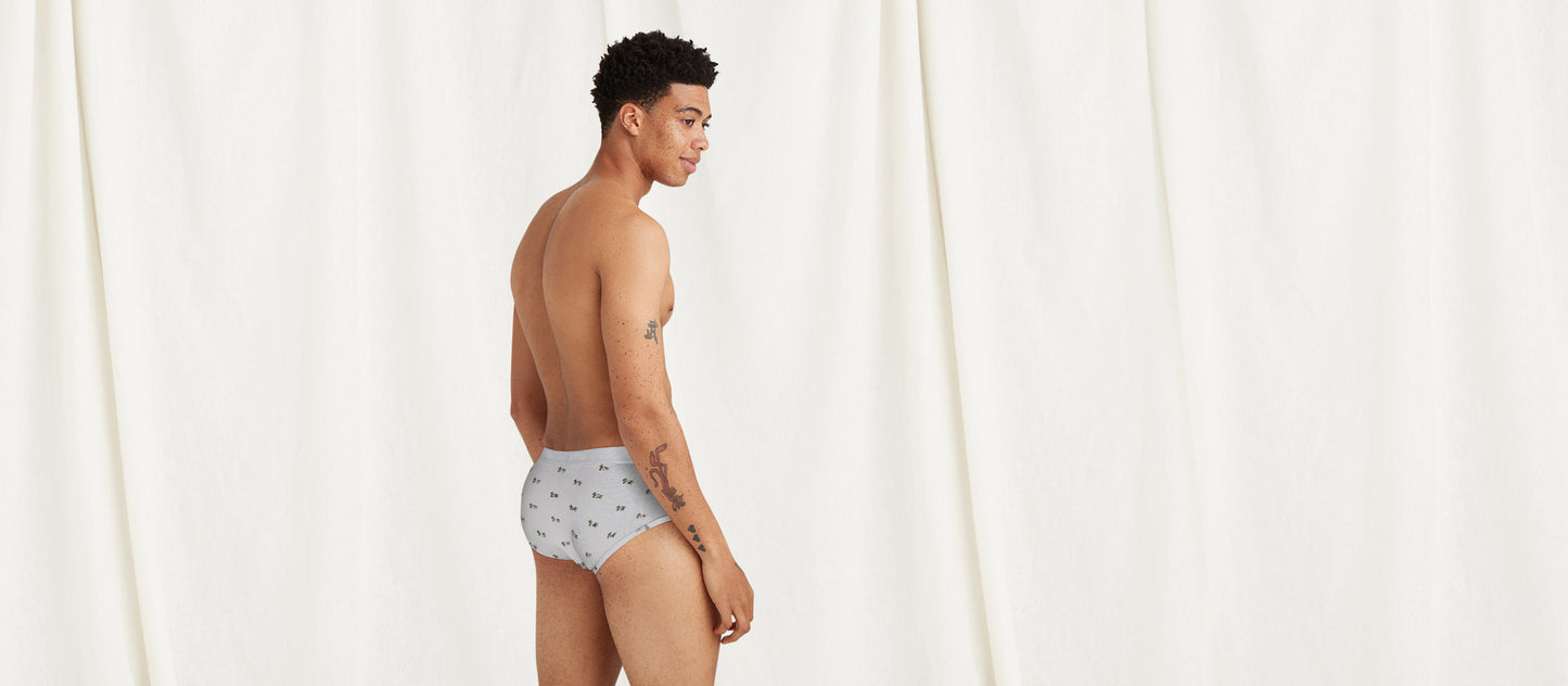 Stretch Cotton Brief w/ Fly | Ducks